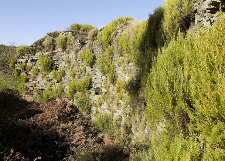 Castelo de Mesía, Spain